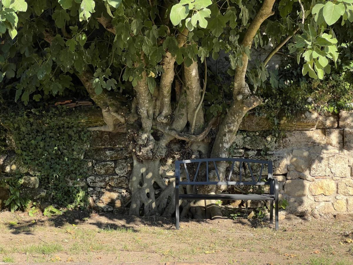 Gite Avec Piscine, Chateau De Lescours, St-Emilion Saint-Sulpice-de-Faleyrens Exterior photo
